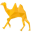 DxChain Token Logo