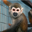 Escaped Lab Monkeys Logo