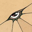 EYE Am Watching You Logo
