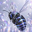 Fab Logo