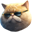 FAT CAT Logo