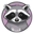First Convicted RACCON Logo