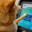 First Dog to Buy Crypto Logo