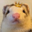 Floofnoodles Logo