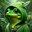 Frog In Hood Logo