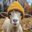 goatwifhat Logo