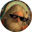 GOD Coin Logo