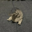 Gomu Gator Logo