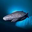 Greenland Shark Logo