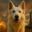 Groks Dog Logo