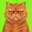 Grumpy Cat Logo