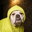 Hoodie Logo