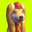 hotdog Logo