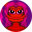 Hottie Froggie Logo