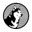 Husky AVAX Logo