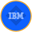IBM (bStocks Tokenized Stock) Logo