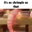 its as shrimple as that Logo