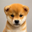 just a dog Logo