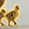 Justice for Goslings Logo