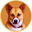 Ken Logo
