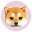 KiboShib Logo