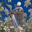 Knight Core Logo