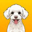 Korico Logo