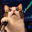Leveraged Cat Logo