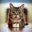 LIL BUB Logo