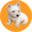 LilyBux Logo