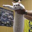 Longcat Logo