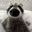 Louie the Raccoon Logo