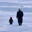 Make Penguin Great Again Logo