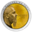Mansory Token Logo