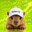Market Cap Logo