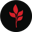 MarsMi Logo