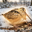 Meep Bird Logo
