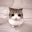 Meowpin Logo