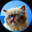 Mr. Miggles Logo