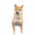 Money Dog Logo