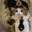 Neuracat Logo