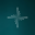 Nova USD Logo