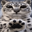paws at you Logo