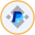 Paypal (bStocks Tokenized Stock) Logo