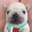 Pibblepan’s Coin Logo