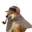 pipedog Logo