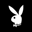 Playboy (ST0x Tokenized Stock) Logo