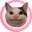 Polite Cat Logo
