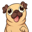 Pug Inu Logo