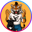 PulseChain Tiger Logo
